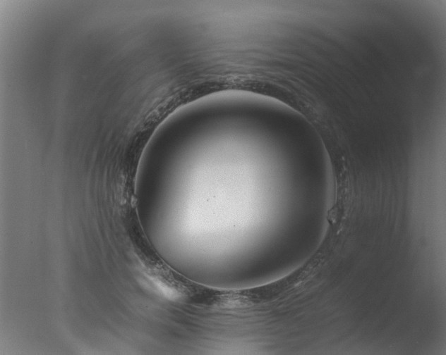 X0000077330750200610271736