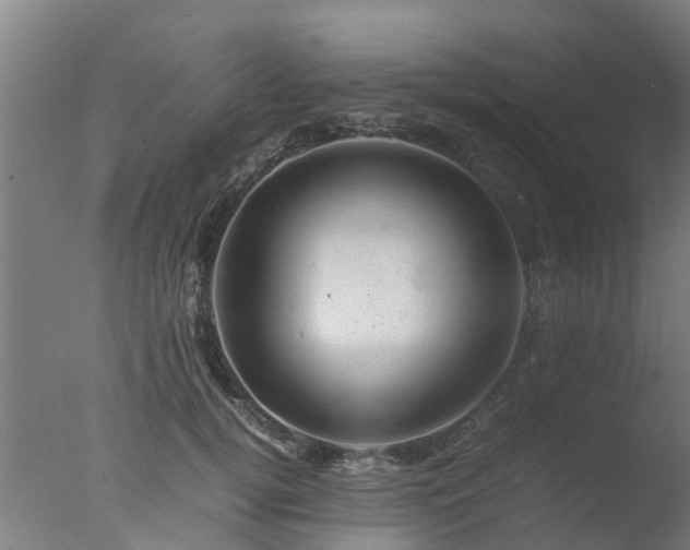 X0000077330752200610271736
