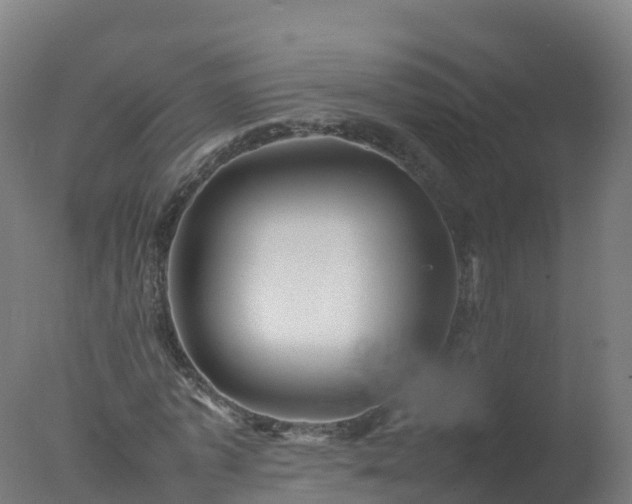 X0000077330773200610271735