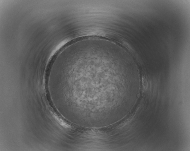 X0000077330780200610271735
