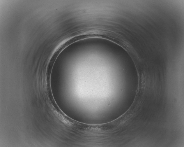 X0000077330784200610271735