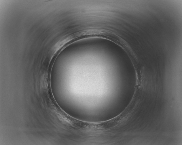X0000077330786200610271735
