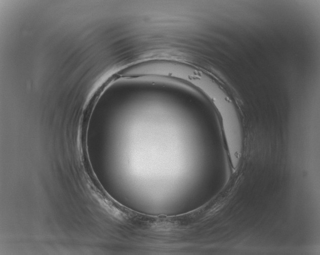 X0000077330788200610271735