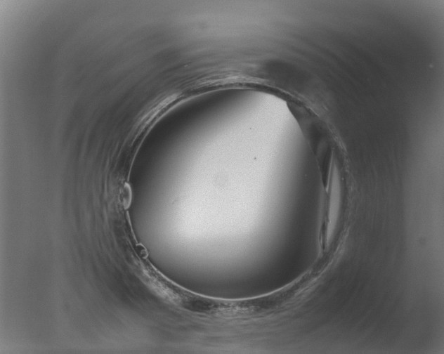 X0000077330793200610271735