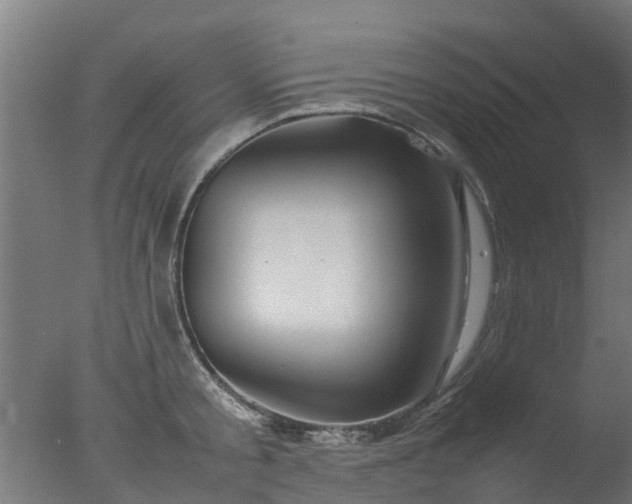 X0000077330805200610271735