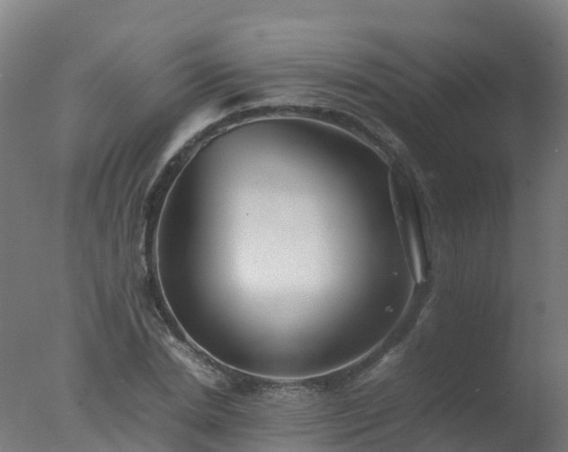 X0000077330830200610271734