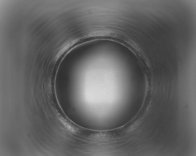 X0000077330834200610271734