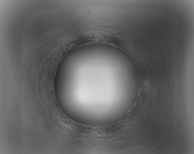 X0000077330865200610271734