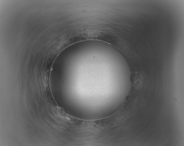 X0000077330866200610271734