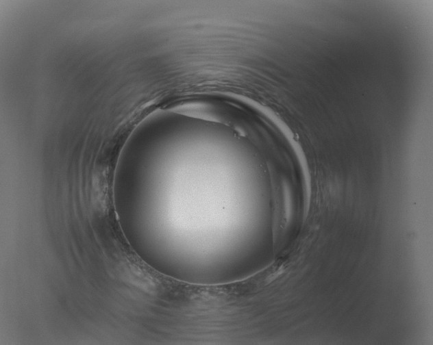 X0000077330868200610271734
