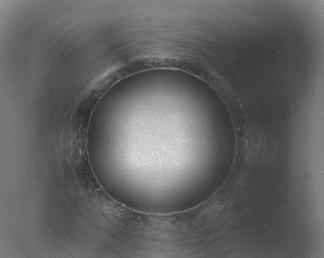 X0000077330870200610271734