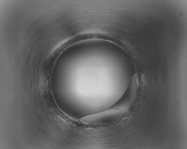 X0000077330872200610271734