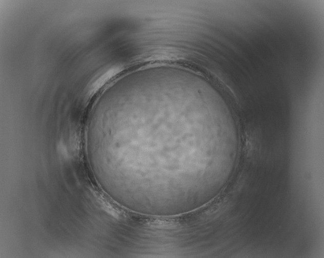 X0000077330874200610271733