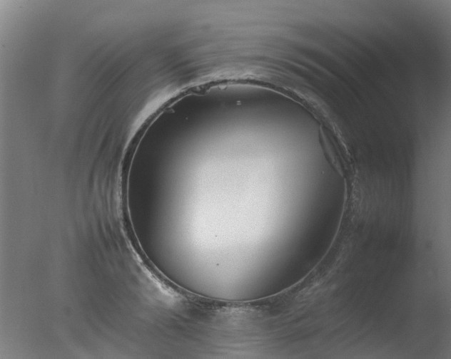 X0000077330894200610271733