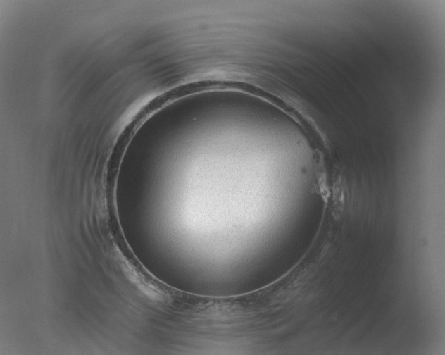 X0000077330972200610271732