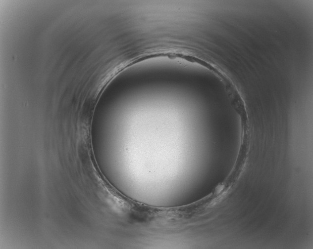 X0000077330993200610271731