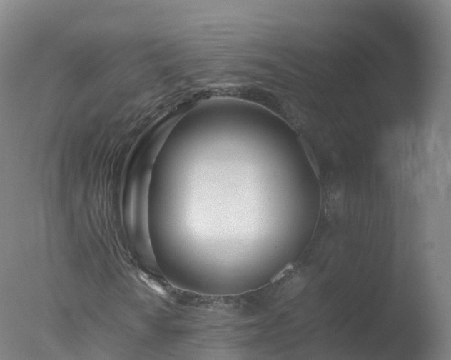X0000077331010200610271730