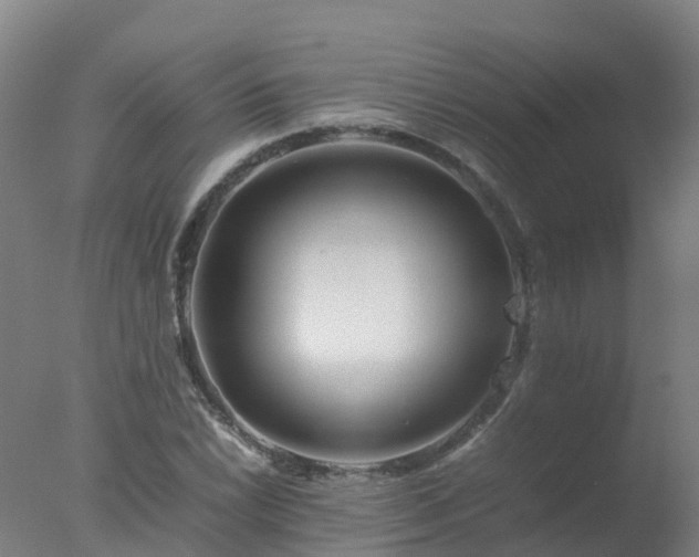 X0000077331022200610271731