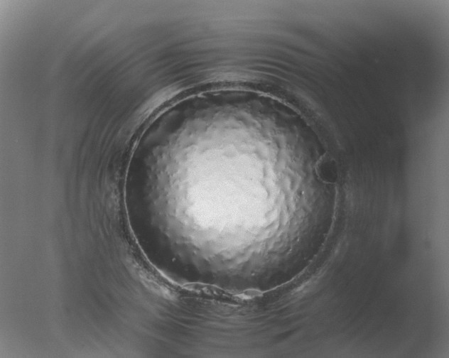 X0000077331025200610271731