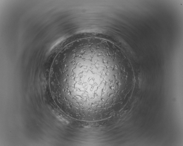 X0000077331064200610271730