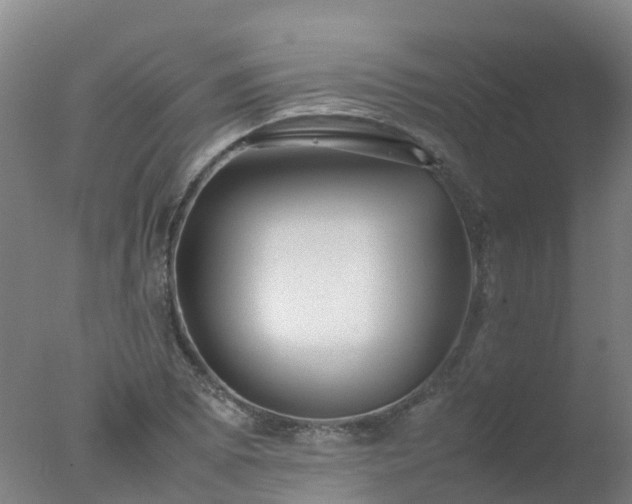 X0000077331073200610271730