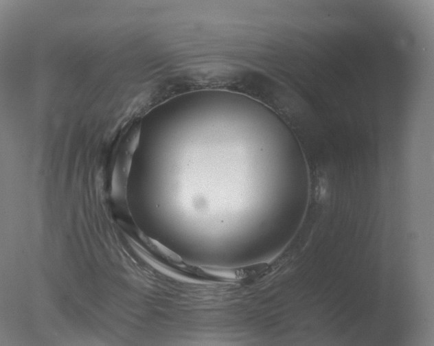 X0000077331108200610271729