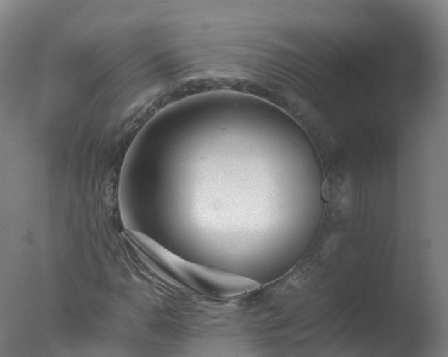 X0000077331110200610271729