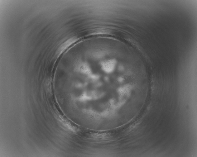 X0000077331121200610271729