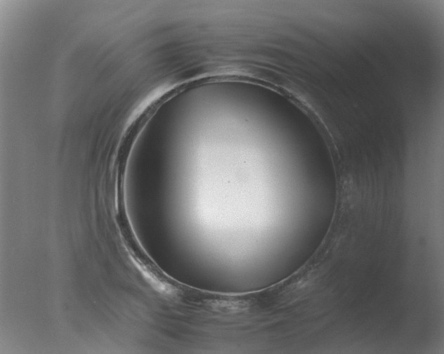 X0000077331127200610271729