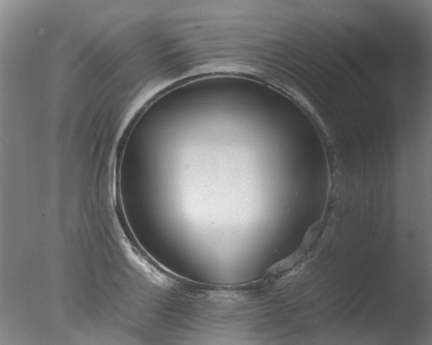 X0000077331132200610271729