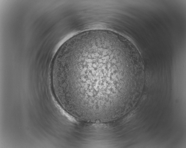 X0000077331142200610271729