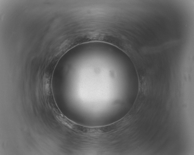 X0000077331154200610271729