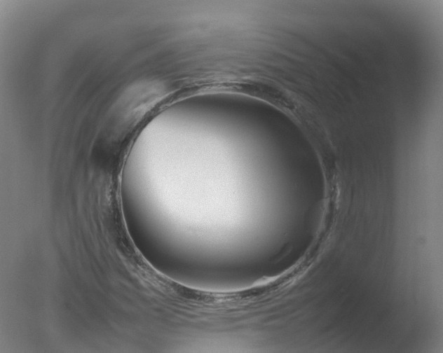X0000077331161200610271729