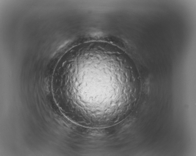 X0000077331205200610271727
