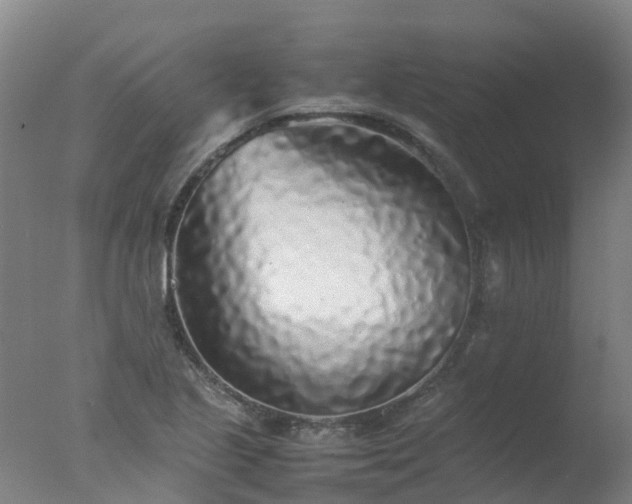 X0000077331221200610271727