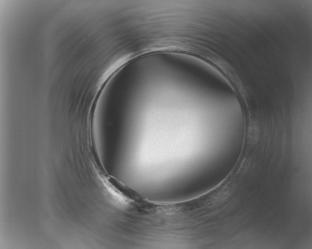 X0000077331242200610271728