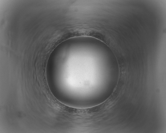 X0000077331249200610271727