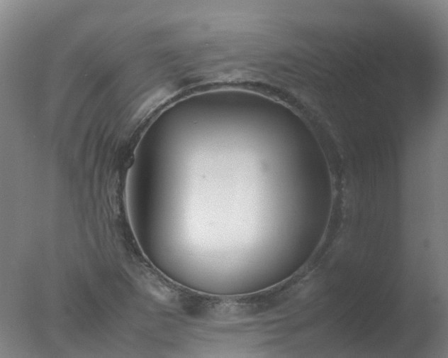 X0000077331265200610271727