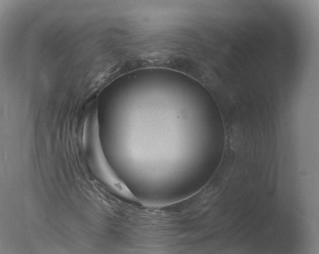 X0000077331298200610271726