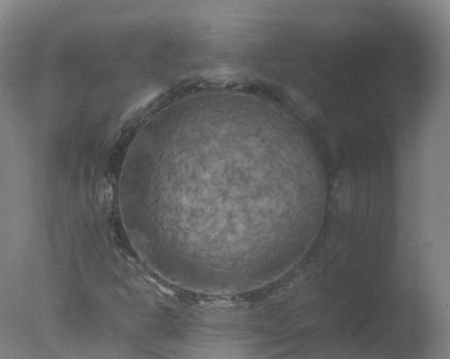 X0000077331302200610271726