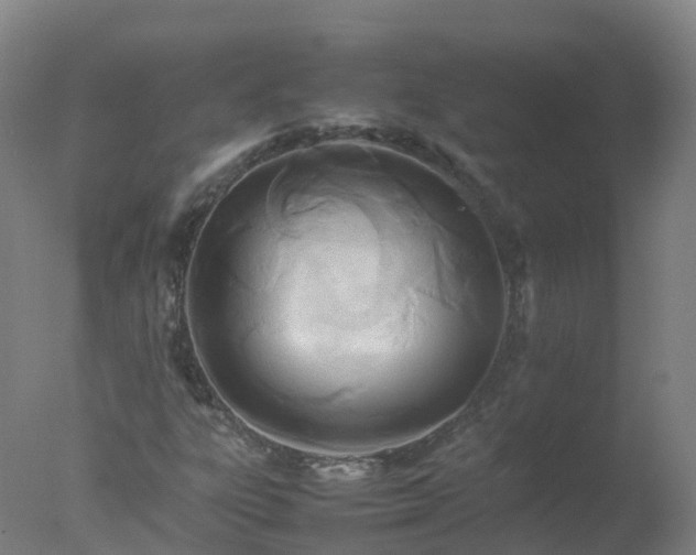 X0000077331303200610271726