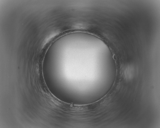 X0000077331307200610271726