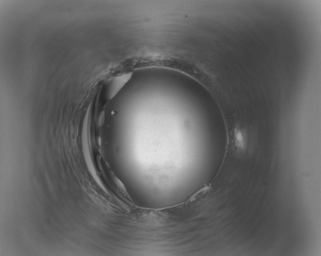 X0000077331348200610271725