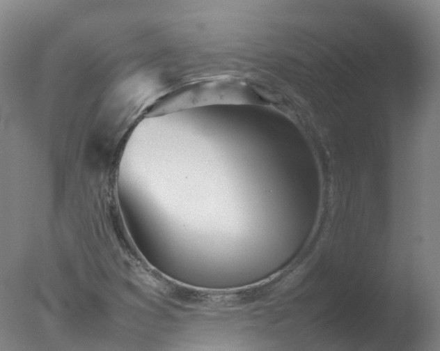 X0000077331353200610271725