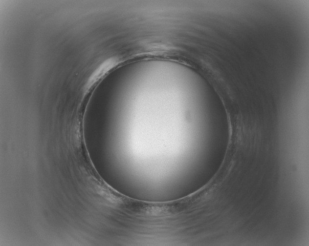 X0000077331362200610271725