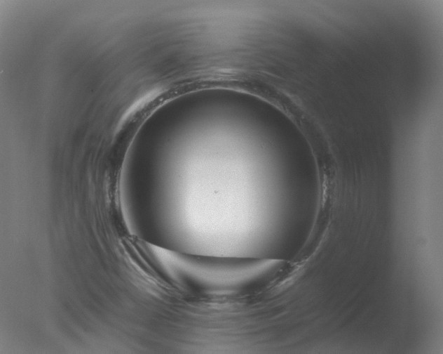 X0000077331402200610271724