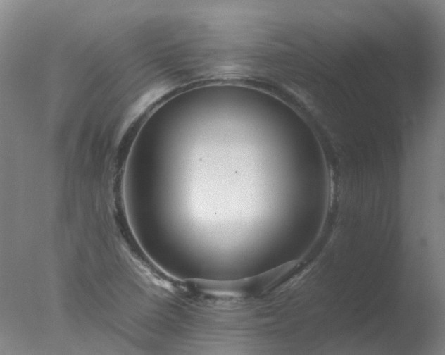 X0000077331410200610271724