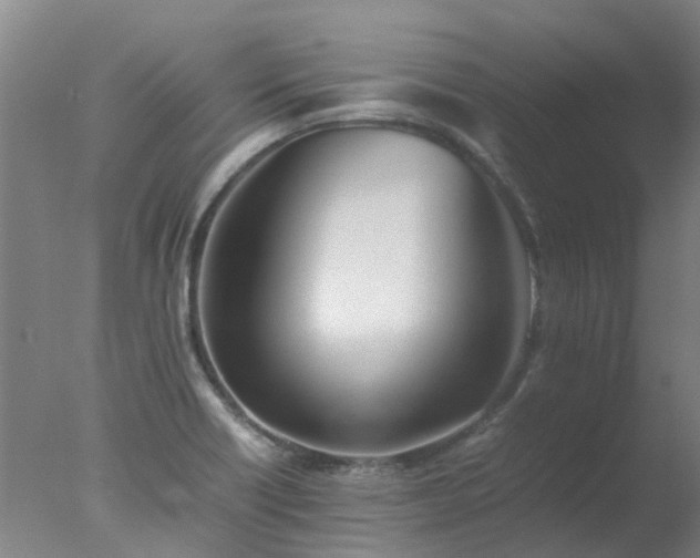 X0000077331418200610271724