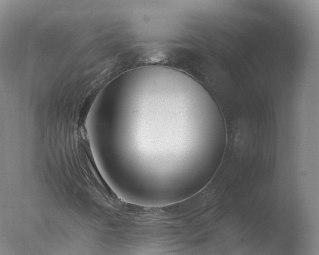 X0000077331442200610271724