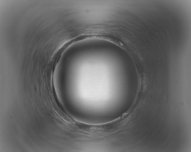 X0000077331449200610271724